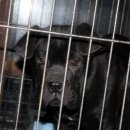 경호농장 이미지