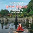강가의 추억 | 발리 인스타그램 투어 체험기 💛 고요한 워터팰리스(티르타 강가) 후기