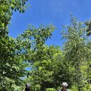 수산리-13 이미지