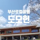 [부산 남천동 도모헌]재벌집 막내아들 촬영지,감성 산책코스&amp;복합문화공간