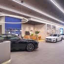 D.S 모터스 이미지