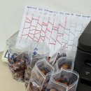 혜인도기 | Feb-Apr. 2024 / daily moment