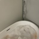 디스커버리풀빌라A | [거제] 거제 디스커버리 풀빌라 : 가성비 좋은 오션뷰 감성 숙소 내돈내산 후기