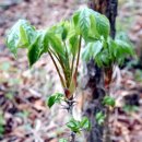 보물세상 이미지