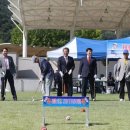 게이트볼 이미지