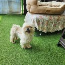 마린푸르지오 아파트 후문 이미지