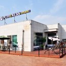 퍼피니스 이미지