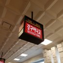 강구아나고