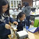 장안고가 이미지