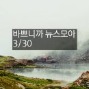 우길타이어연구소 | 바쁘니까 뉴스모아 3/30