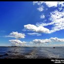 코발트블루 이미지