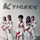 KTIGERS 동탄역관 태권도장 이미지