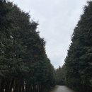 민수목장 이미지