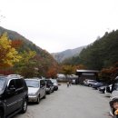 소백산삼가야영장 이미지