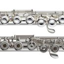 플룻 (고급) 이미지