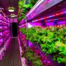 지명농장 이미지