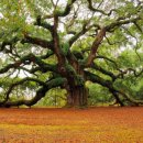 도솔내과의원 이미지