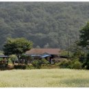 영서로4 이미지