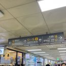 명동오렌즈 이미지