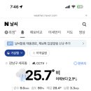 설숲