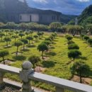 삼우목장 이미지