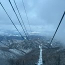 삼양택시 | 뚜벅이들의 강릉 여행 / 용평 모나 / 발왕산 / 삼양라운드힐 / 썰매 스팟 / 대관령눈꽃축제