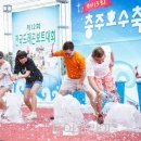 충주호수로 이미지