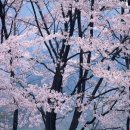 유리네일 이미지