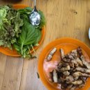 힐링약국 | 강원도 홍천캠핑장 수타사 힐링캠핑 데크F존 후기 F5존