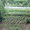 오케이한우목장 이미지