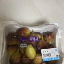 파출박사 이미지