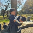 법기수원지 | 부산 근교 아기랑 가기 좋은 곳 양산 법기수원지 유모차 산책 후기