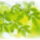 안촌 유치원 이미지