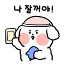 허니투어 이미지