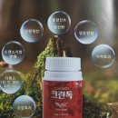 성경크린 이미지