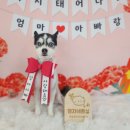 땡자네 묭실 이미지