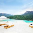 소노펠리체 델피노 이미지