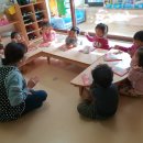 꼭꼭 숨어라 동물들아 이미지