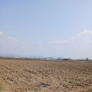 옥산신도시공인중개사사무소 이미지