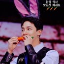 제리스토리 이미지