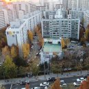704 시민일보