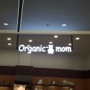 은평-010 이미지