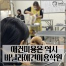 미래펫미용 이미지