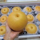 미건농장 이미지