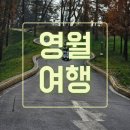한반도면-5 | (영월) 솔고개 소나무, 전기카트체험장 방문후기