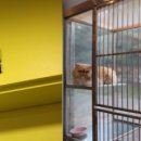 하나펫살롱 이미지