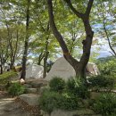 청천화양동관광농원  초롱이 캠핑장 이미지