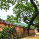 금강국제여행사 - 제주시 연북로 25 | 금강국제여행사