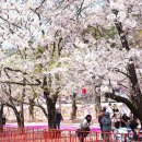 주식회사 스타메이드 이미지