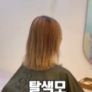 머리해,봄 이미지